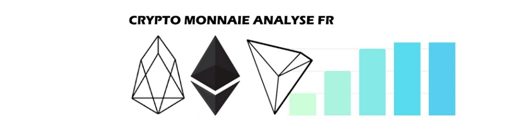 crypto monnaie analyse fr